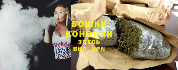 прущие грибы Белокуриха