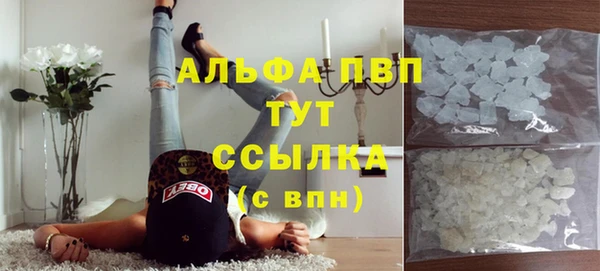 прущие грибы Белокуриха