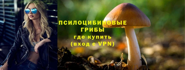 прущие грибы Белокуриха