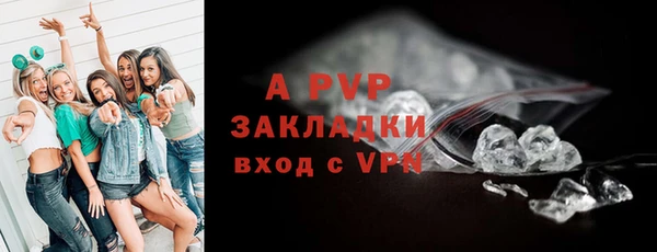 прущие грибы Белокуриха