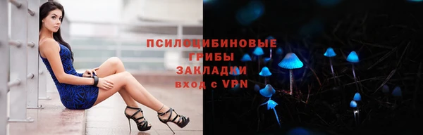 прущие грибы Белокуриха