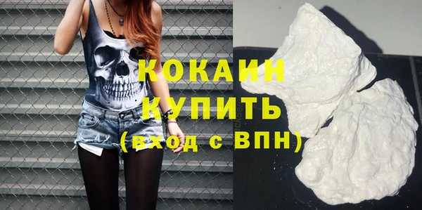 прущие грибы Белокуриха